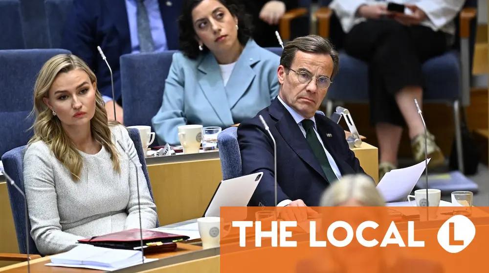 Which issues look set to decide Sweden's election?