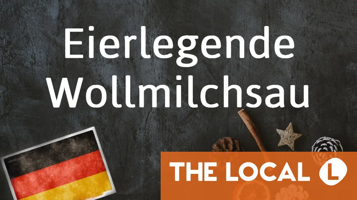 German phrase of the day: Eierlegende Wollmilchsau