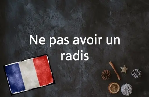 French Expression of the Day: Ne pas avoir un radis