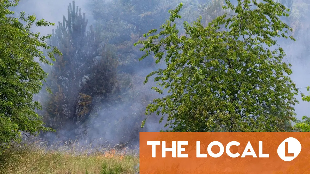 MAPS: Where in Germany faces the highest risk of wildfires