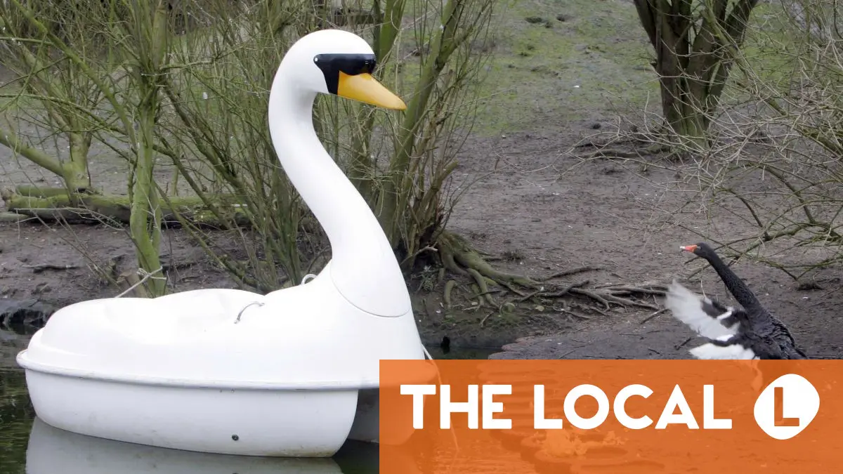 Sommerlochtiere: Germany's wildest summer 'silly season' stories