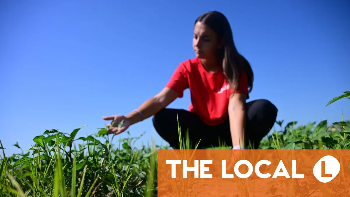 Italy's baked rice bowl seeks escape from drought