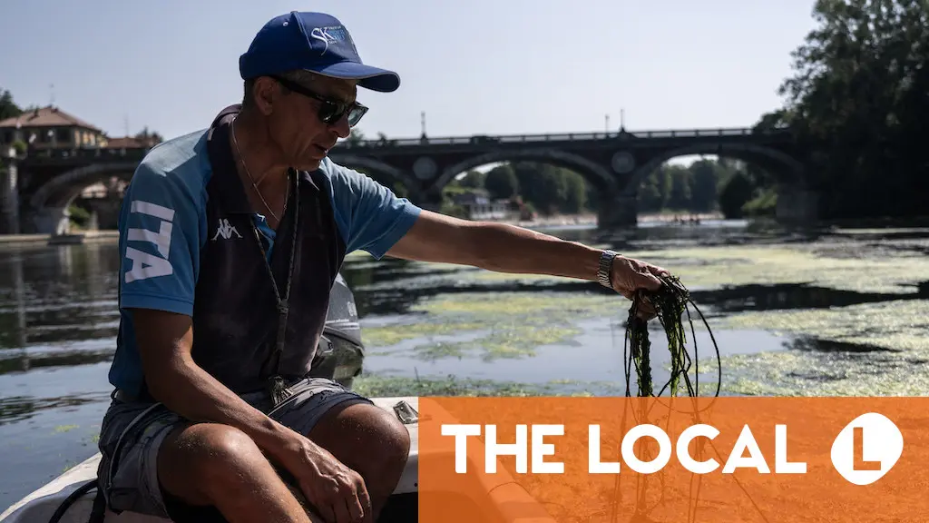 'The river is changing': Algae carpets Italy's warmed River Po amid heatwave