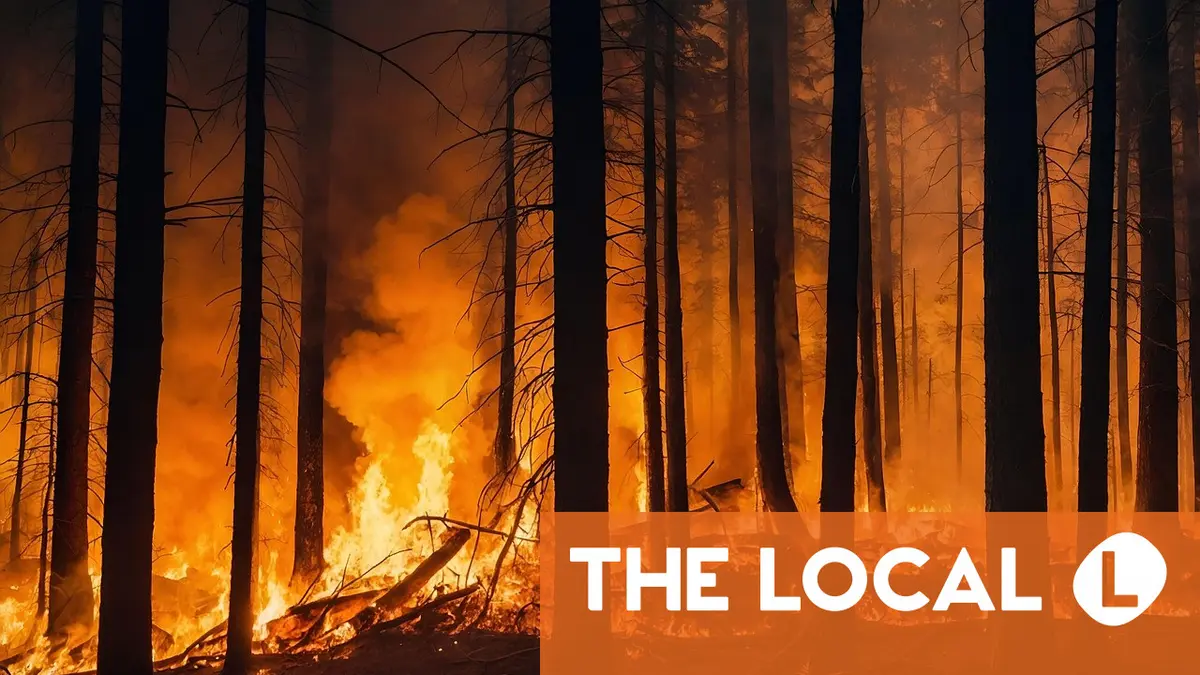What you need to know about wildfire risks in Switzerland this summer