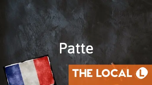 French Word of the Day: Patte