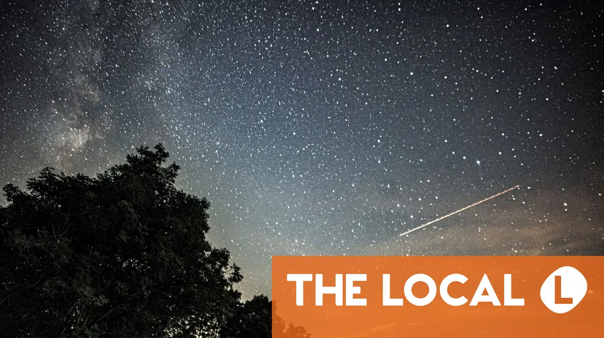 A starry night sky with a streak of light and a tree silhouette.