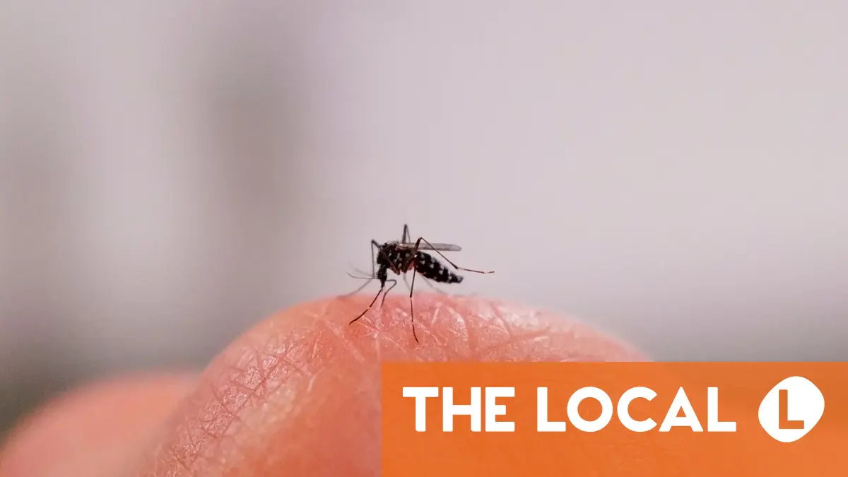 
            Inside France: Mosquitoes, cold calls, big tech and other irritants
        