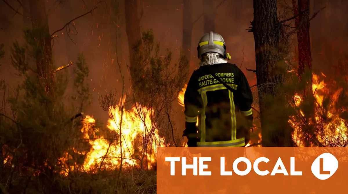 A firefighter stands observing a large wildfire in a forest.