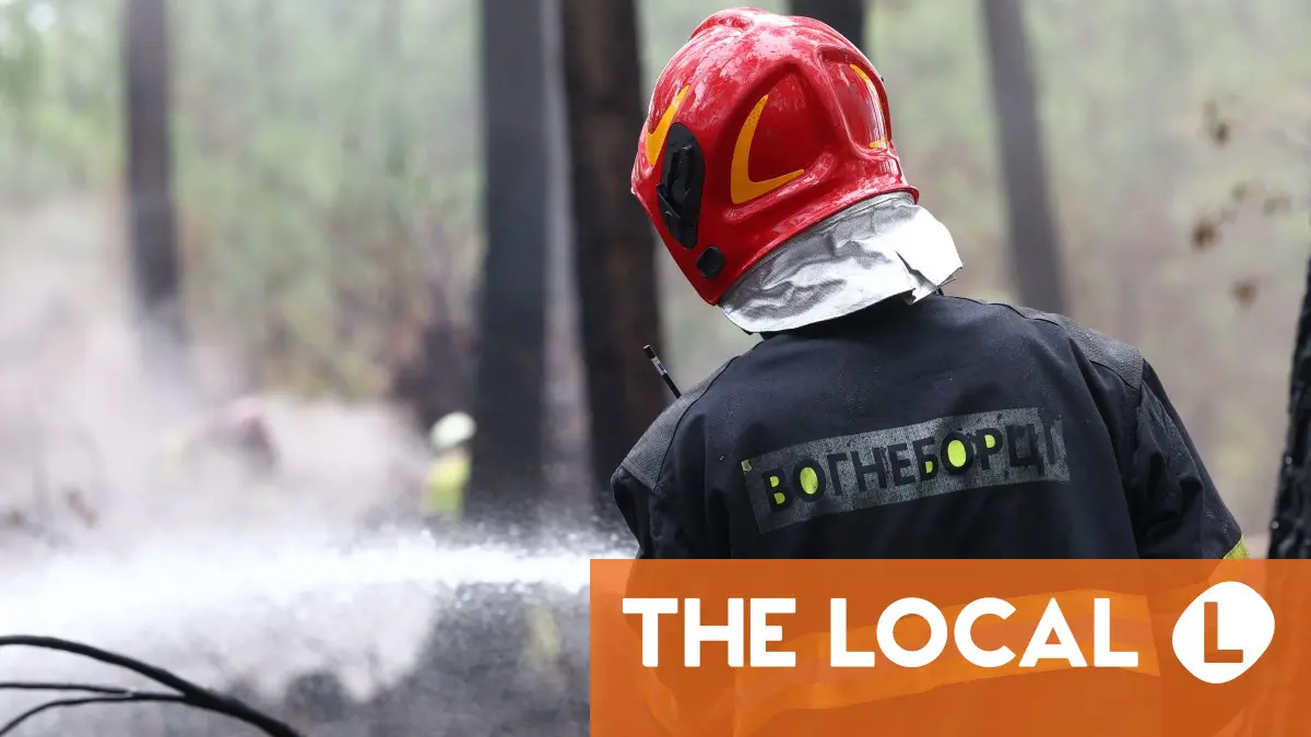 Ukrainian firefighters join battle against France fire