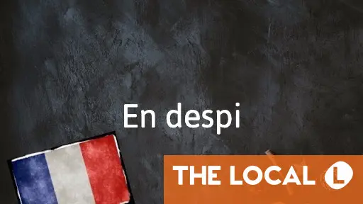 
            French Expression of the Day: En despi
        