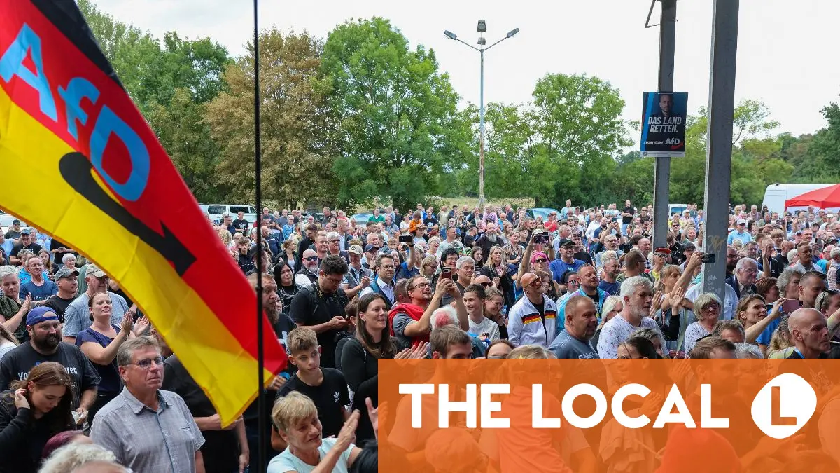 What would an AfD win in Saxony-Anhalt mean for Germany?
