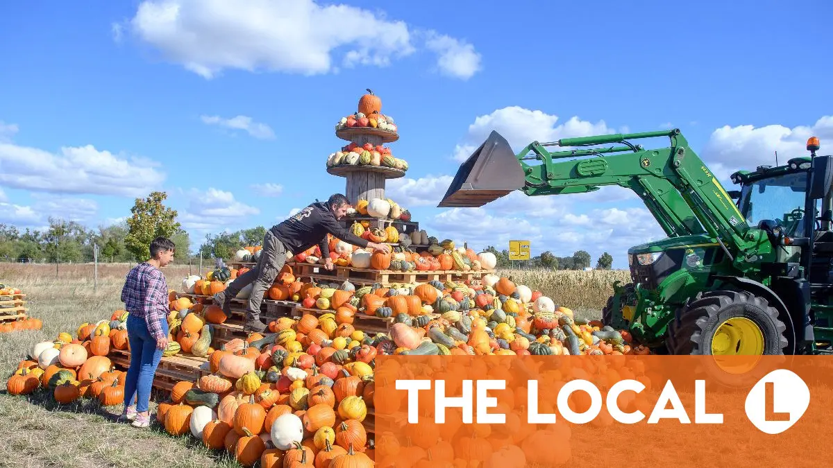 How to prepare for autumn like a German