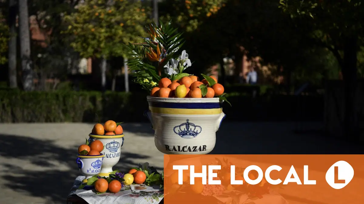 
            Why does citrus-producing Spain import so many oranges?
        