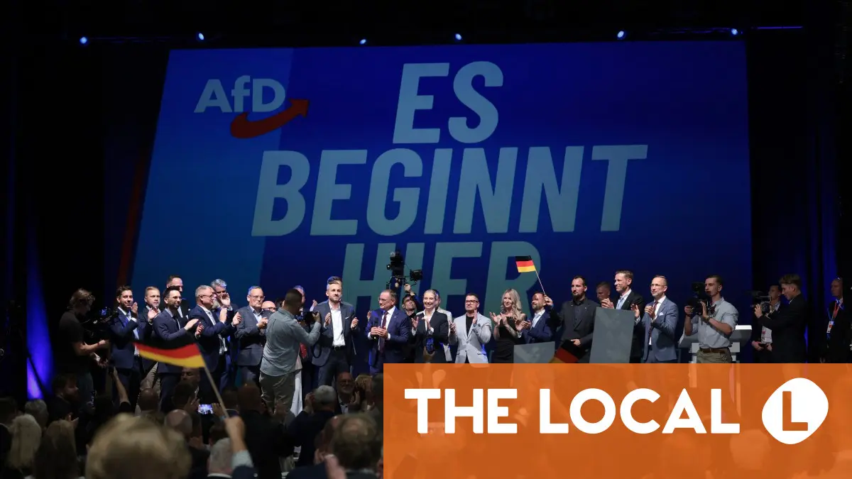 
            Why is the Alternative for Germany considered far-right extremist?
        