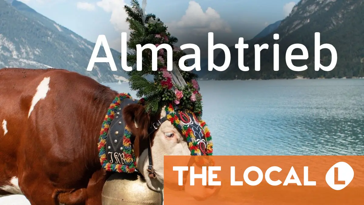 German Word of the Day: der Almabtrieb
