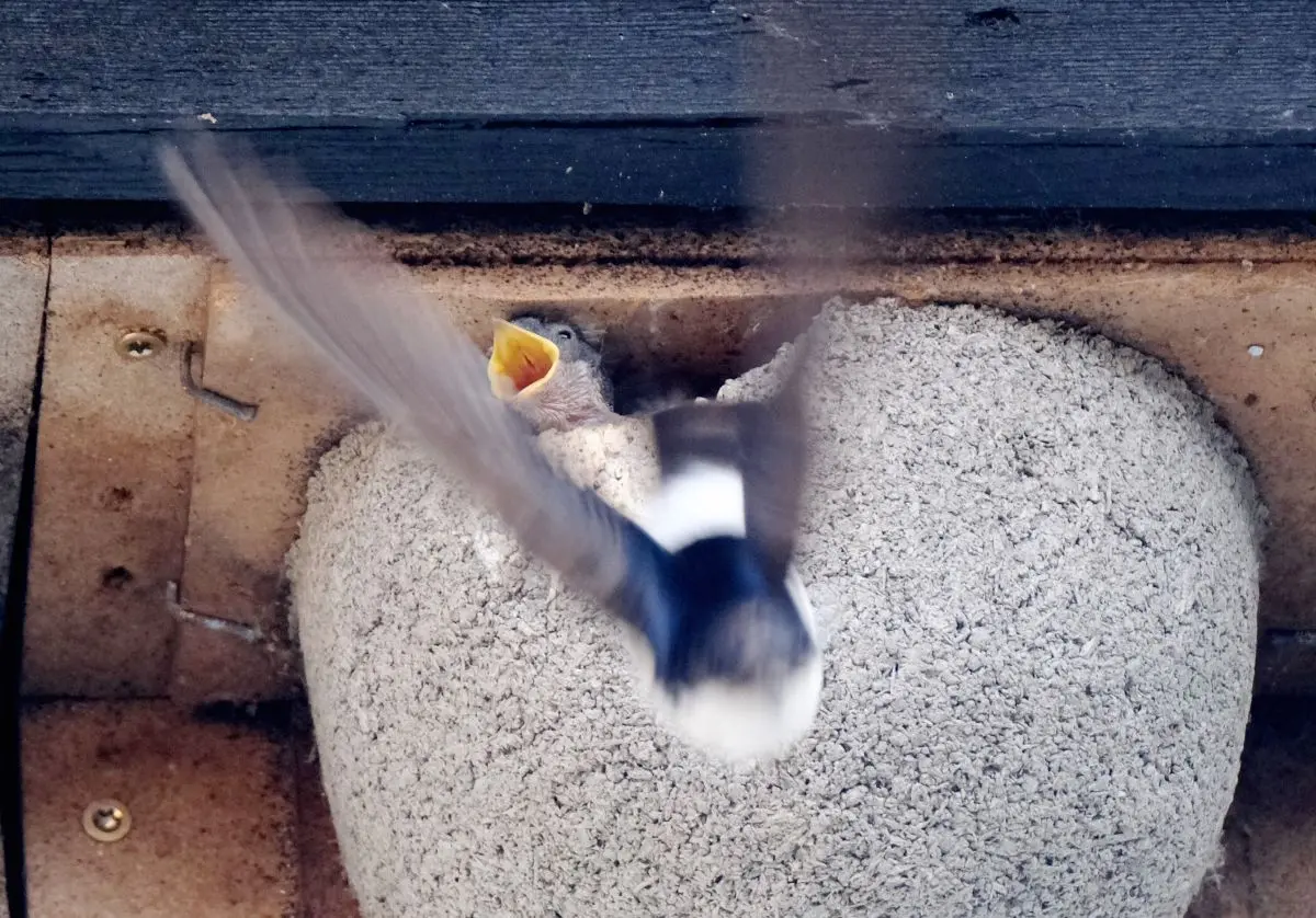 Today in Germany: A roundup of the latest news on Friday