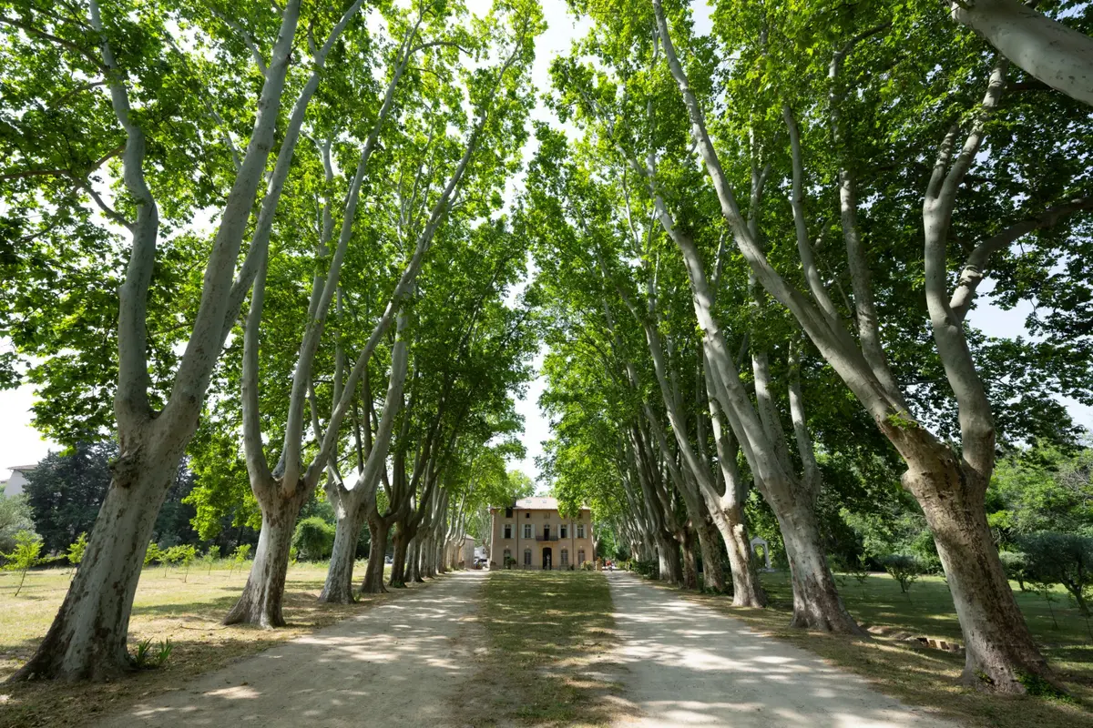 Could it soon be easier for Canadians to buy property in France?