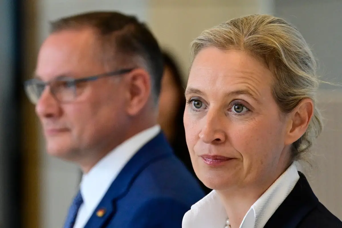 What we know so far about the Alternative for Germany email leak