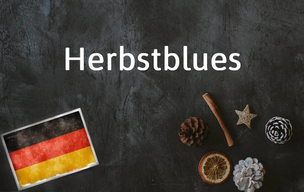 German word of the day: Der Herbstblues