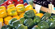 Exploring Munich for Gastro Goodies