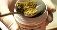 German health insurers reject medical marijuana coverage