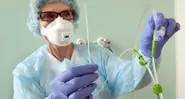 German nurse catches swine flu