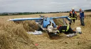 Looping plane collides with family in car