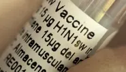 Germany sets up online portal and hotline for swine flu