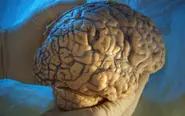 Scientists induce temporary Tourette's