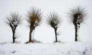 Snow returns as spring seems far, far away