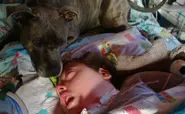 Boy in coma could lose 'best friend'