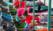 Study finds migrants are a €22 billion boon
