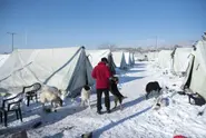 Germany to return new asylum seekers to Greece from March