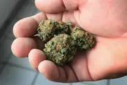 Two years since legalization, patients in Germany still face hurdles accessing medical marijuana