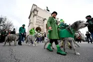 'Similar pub cultures': Who are the Irish in Germany?