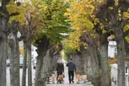 Today in Germany: A round-up of what's happening on Friday