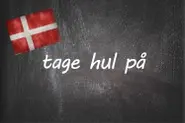 Danish expression of the day: At tage hul på