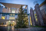 Germany's Scholz dims lights on Christmas tree amid energy squeeze