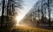 Temperatures of 'up to 22C' expected on New Year's Eve in Germany