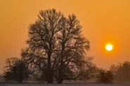 Second winter heat wave arrives in Germany