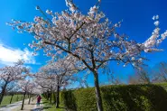 Germany to see weekend highs of up to 26C before icy spells