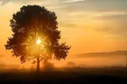 Germany swelters on hottest day of the year so far
