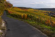All aboard: grocery bus caters to isolated German villages