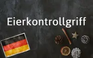 German word of the day: Eierkontrollgriff