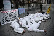 OPINION: French cattle cull protesters risk becoming the new anti-vaxxers