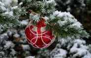 Germany set for 'coldest Christmas in 15 years'