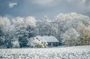 Will Germany see a white Christmas this year?
