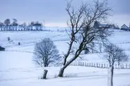 Germany freezes under snow, frost and ice as cold snap continues