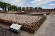 Clickbait and 'AI slop' distort memory of Holocaust in Germany