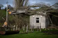 Storms spark travel mayhem and power cuts in northern Europe